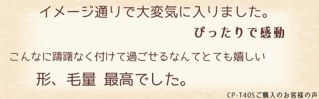 CP-T40Sご購入者様の声