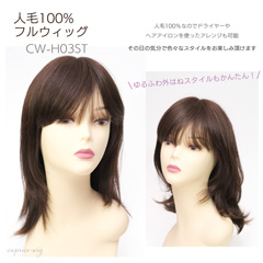人毛ウィッグ ナチュラルストレート セミロング[商品番号：CW-H03ST]