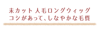 さらさらストレート未カット人毛ロングウィッグ